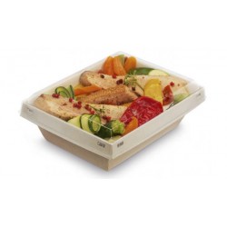 ASSIETTE CARTON RECTANGULAIRE 130 X 200 MM