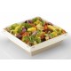 ASSIETTE CARTON RECTANGULAIRE 130 X 200 MM